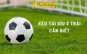 Tài xỉu 3 trái