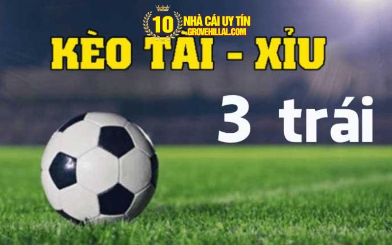 Kinh Nghiệm Chơi Tài Xỉu 3 Trái Chuẩn Xác